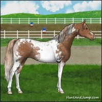 Horse Color:Chestnut Tobiano 
