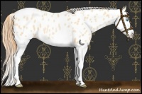 Horse Color:Chocolate Buckskin Pearl Splash Leopard 