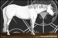 Horse Color:Gray Silver Bay Dun Tobiano Near Leopard Rabicano 