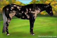 Horse Color:Void Silver Amber Champagne Splash Tobiano Varnish Rabicano