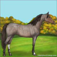 Horse Color:Liver Red Roan 