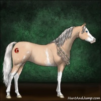 Horse Color:White Spotted Silver Amber Champagne Roan Splash Rabicano 
