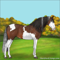 Horse Color:Brown Splash Tobiano 