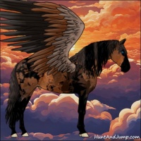 Horse Color:Void Buckskin Splash Tobiano Blanket