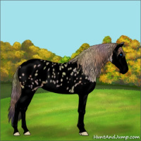 Horse Color:Void Nacre Classic Cream Champagne Splash Appaloosa 