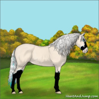 Horse Color:Silver Perlino Splash 