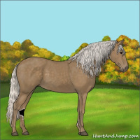 Horse Color:Silver Smoky Black 