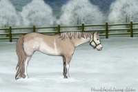 Horse Color:White Spotted Liver Red Dun Rabicano 