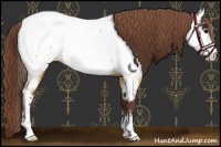 Horse Color:Chocolate Buckskin Sabino Near Fewspot 