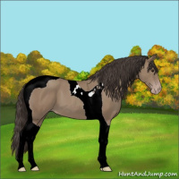 Horse Color:Classic Champagne Tobiano 