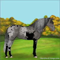Horse Color:Grullo Tobiano