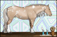 Horse Color:White Spotted Silver Brown Pearl Dun Tobiano 
