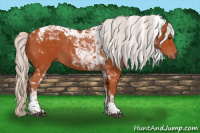 Horse Color:Silver Brown Tobiano Rabicano 
