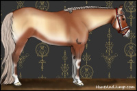 Horse Color:Silver Bay Roan Onyx 