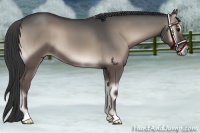 Horse Color:Blue Onyx 