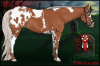 Horse Color:White Spotted Silver Bay Tobiano Blanket