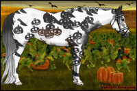 Horse Color:Brown Tobiano Frame 