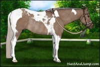 Horse Color:Silver Brown Dun Tobiano Rabicano