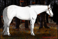 Horse Color:Gray Bay Roan Dun Tobiano Rabicano