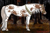 Horse Color:Chestnut Splash Tobiano