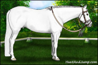 Horse Color:Gray Black Splash Tobiano