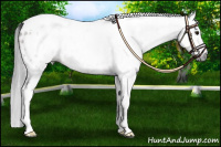 Horse Color:Gray White Spotted Bay Tobiano Blanket 