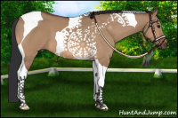 Horse Color:Bay Dun Tobiano