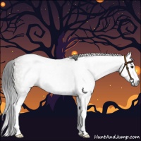 Horse Color:Gray Grullo Splash