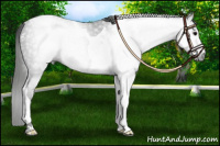 Horse Color:Gray Blue Roan Tobiano Varnish 