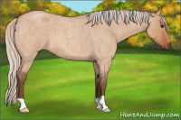 Horse Color:Silver Bay Roan Dun 