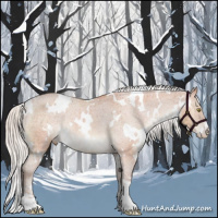Horse Color:White Spotted Chocolate Silver Bay Sabino Varnish Rabicano