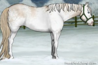 Horse Color:White Spotted Liver Red Dun Pearl 