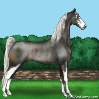 Horse Color:Liver Chestnut Sabino Rabicano