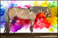 Horse Color:White Spotted Chocolate Palomino Dun 