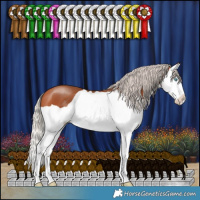 Horse Color:Silver Bay Splash
