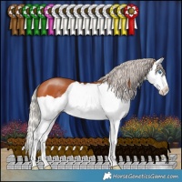 Horse Color:Silver Bay Splash