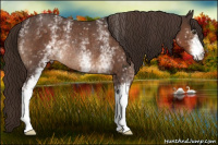 Horse Color:White Spotted Liver Chestnut Rabicano 