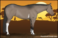 Horse Color:Liver Red Dun Tobiano Rabicano 