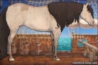 Horse Color:Amber Champagne Dun Rabicano Brindle 