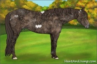 Horse Color:Amber Champagne Ice 