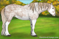 Horse Color:Chestnut Ice Splash 