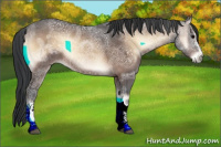 Horse Color:Brown Ice Onyx 