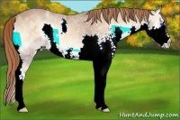 Horse Color:White Spotted Red Onyx Ice Splash