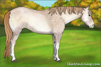 Horse Color:Red Onyx Ice Pearl 