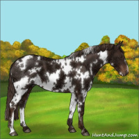Horse Color:White Spotted Liver Chestnut Ice 