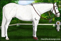 Horse Color:Cremello Sabino Near Leopard  and Cremello Dun Sabino Near Leopard 