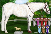 Horse Color:Cremello Near Leopard 