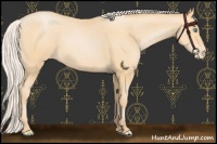 Horse Color:Silver Buckskin Pearl Varnish 