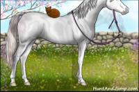 Horse Color:Gray Nacre Chocolate Palomino Pearl Onyx Sabino Rabicano 