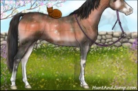 Horse Color:Plaid  Bay Onyx Sabino 